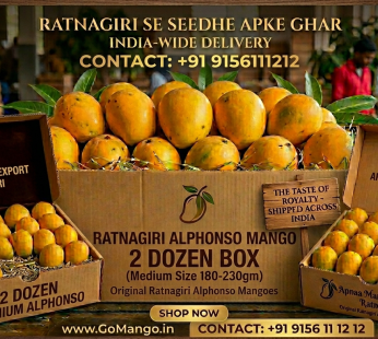 Ratnagiri Alphonso Mango 2 Dozen Box (Medium Size 180-230gm)